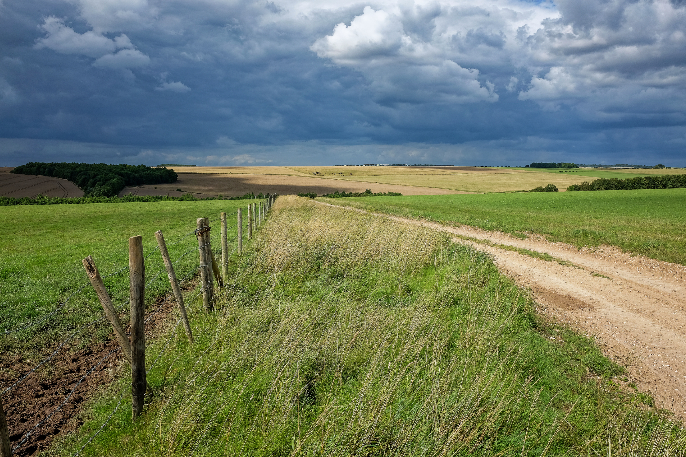 salisbury plain (2).webp